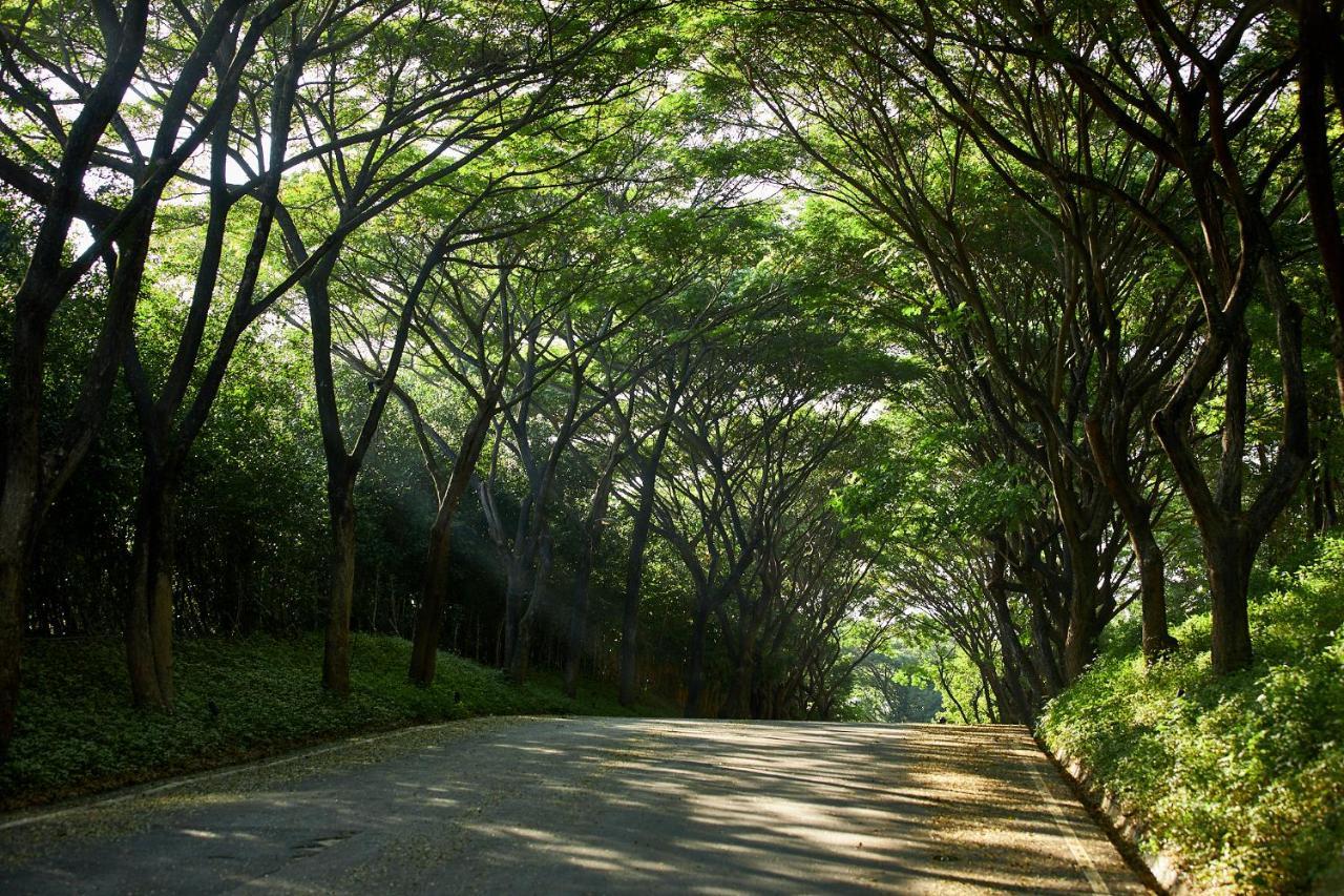 Intercontinental Khao Yai Resort By Ihg Pak Chong Eksteriør billede